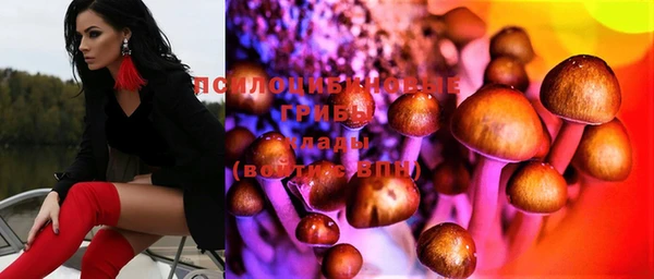 стаф Алексеевка