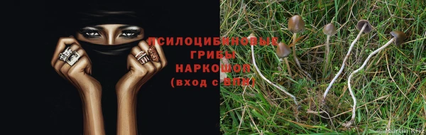твердый Медвежьегорск
